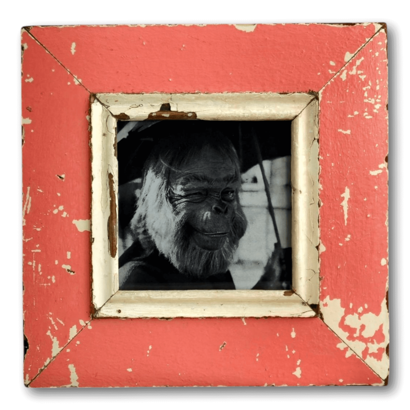 Picture Frame A5-Quadrat Classic L30027