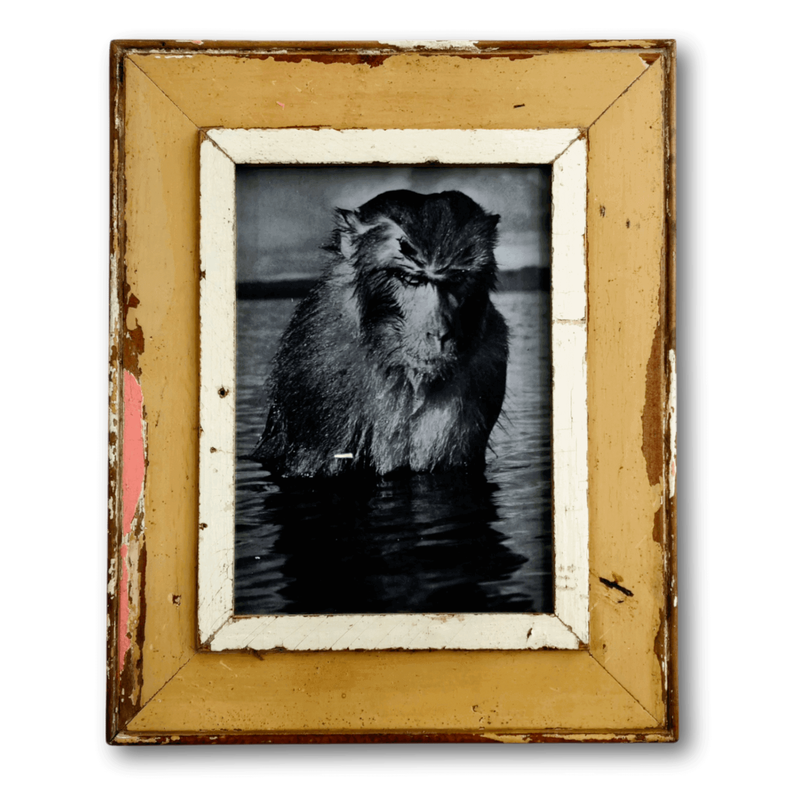 Picture Frame A4 Classic L30064