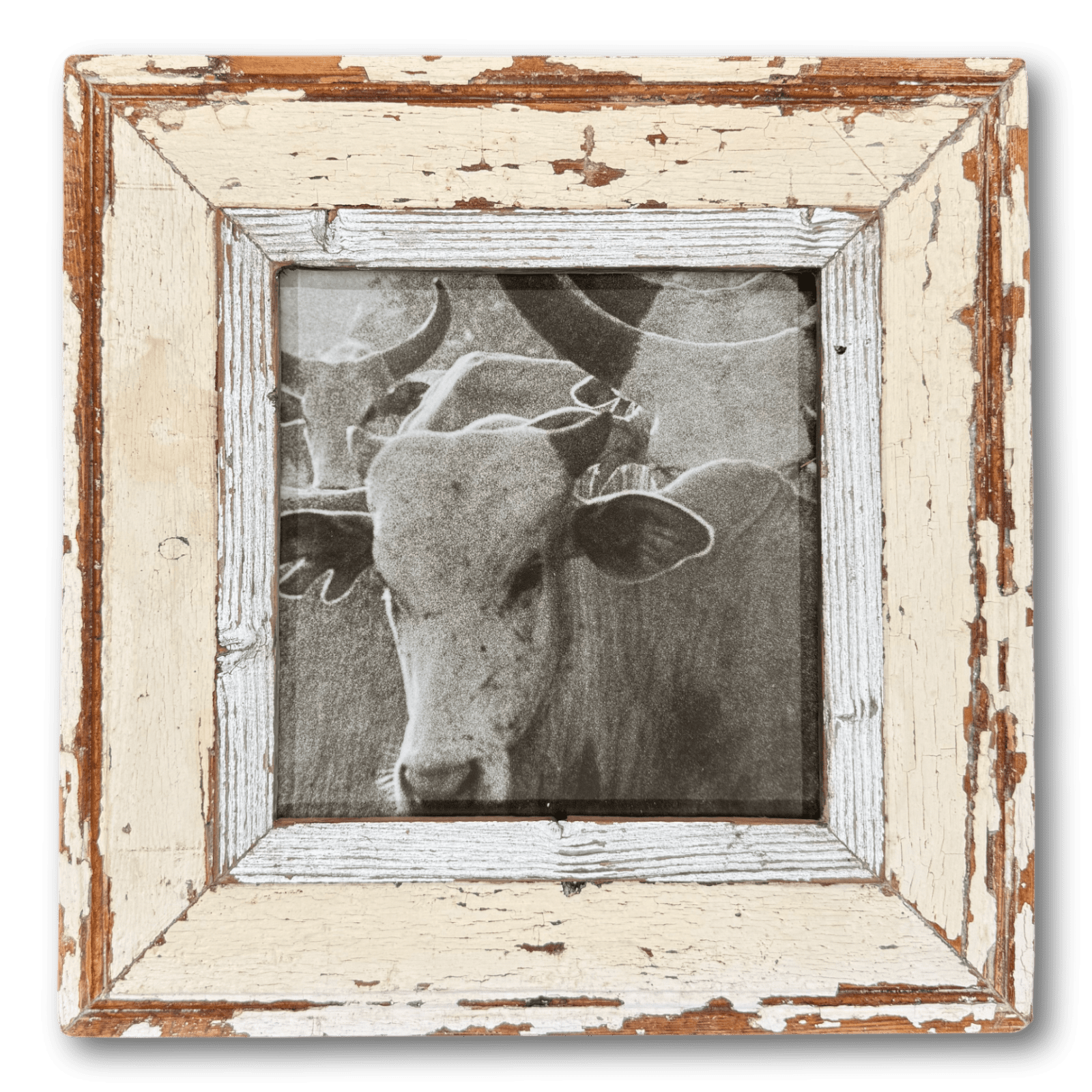 Picture Frame A4-Quadrat Classic L27619 Picture Frame A4-Quadrat Classic L27619