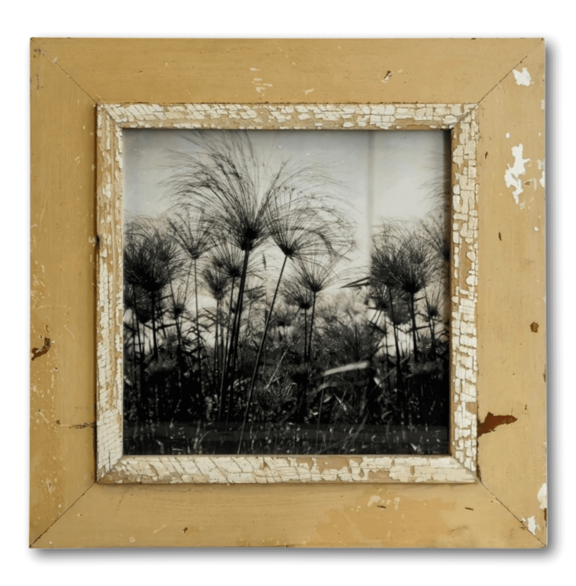 Picture Frame A3-Quadrat Classic L30184
